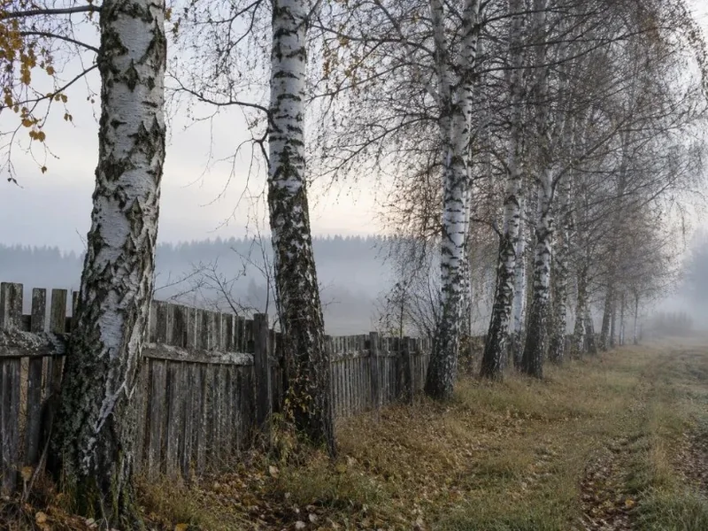 Auschwitz-Birkenau and Salt Mine Guided Tour
